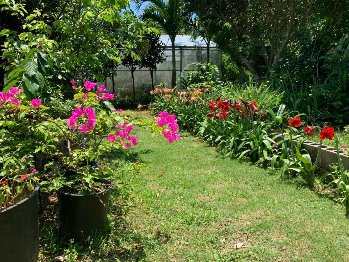 Villa Sound Of The Surf Ishigaki  Exterior photo